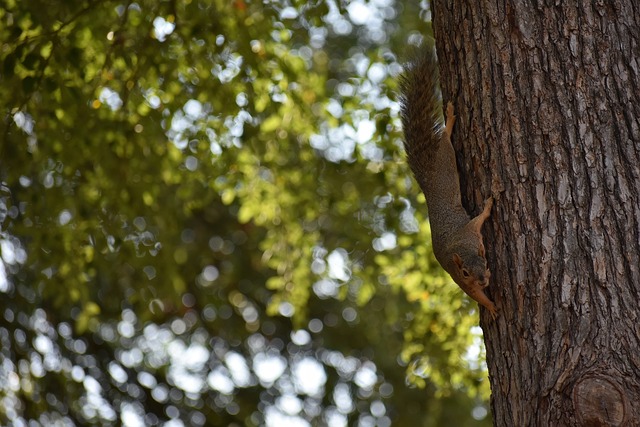 经历也将成 经历也将成