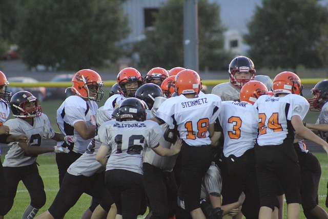 一道屏障 一道屏障